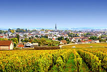 Special Offer on<br>Scenic Cruises!