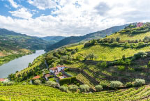 Huge Savings on<br>Riviera Cruises!